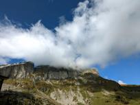 Eggstöcke - Braunwald