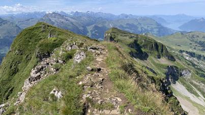 Forstberg vom Druesberg